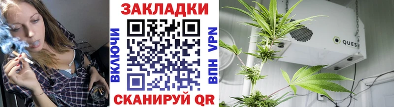 Купить закладку Сальск Галлюциногенные грибы  МЕФ  APVP  ГАШИШ  Конопля 