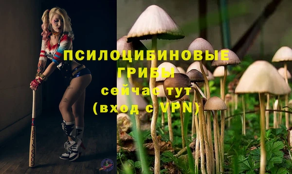 mdpv Абинск