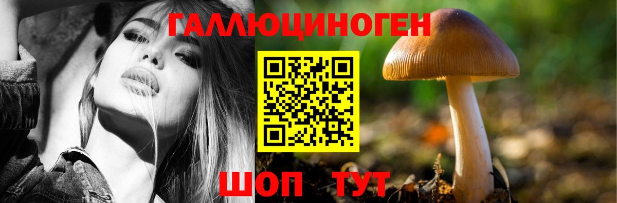 Галлюциногенные грибы MAGIC MUSHROOMS  цены   Сальск  Вход с VPN  Псилоцибиновые грибы Cubensis 
