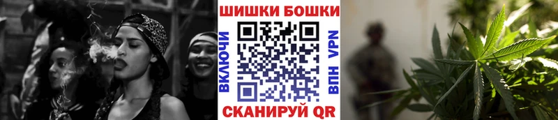 Шишки марихуана план  наркота  Сальск 